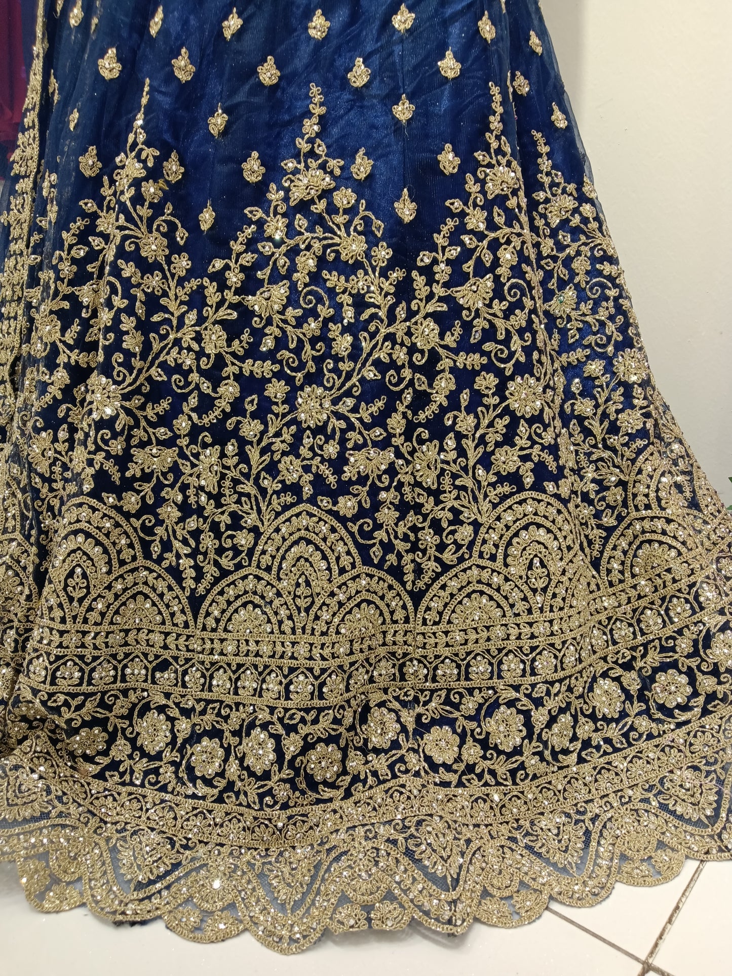 Lehenga Skirt, Net with all-over butti and heavy zari scalloped border.